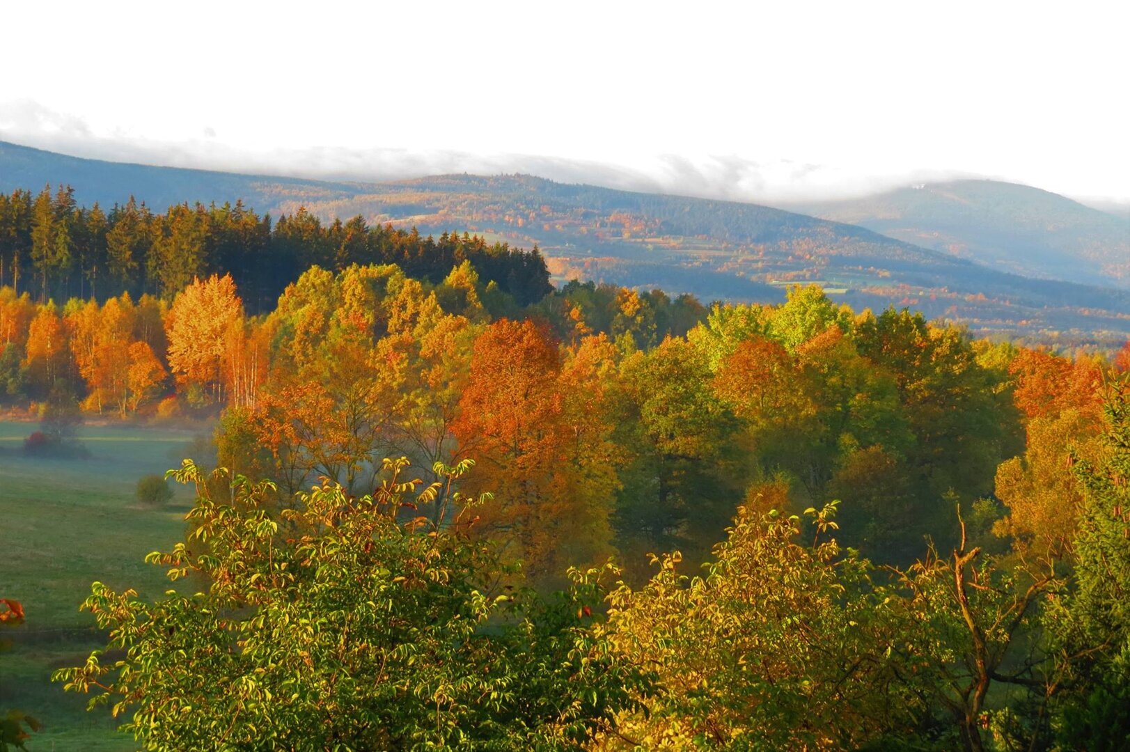 widok